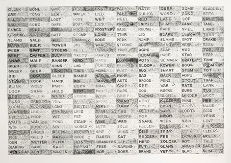Willem Boshoff, Word woes