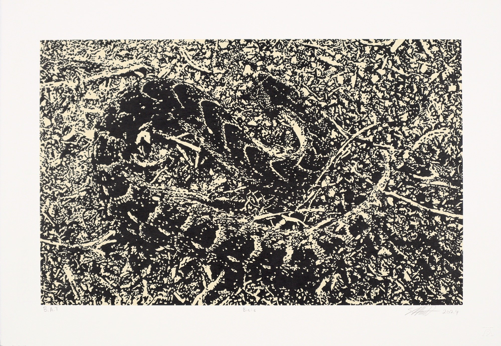 Simon Attwood, Bitis, Chine Colle