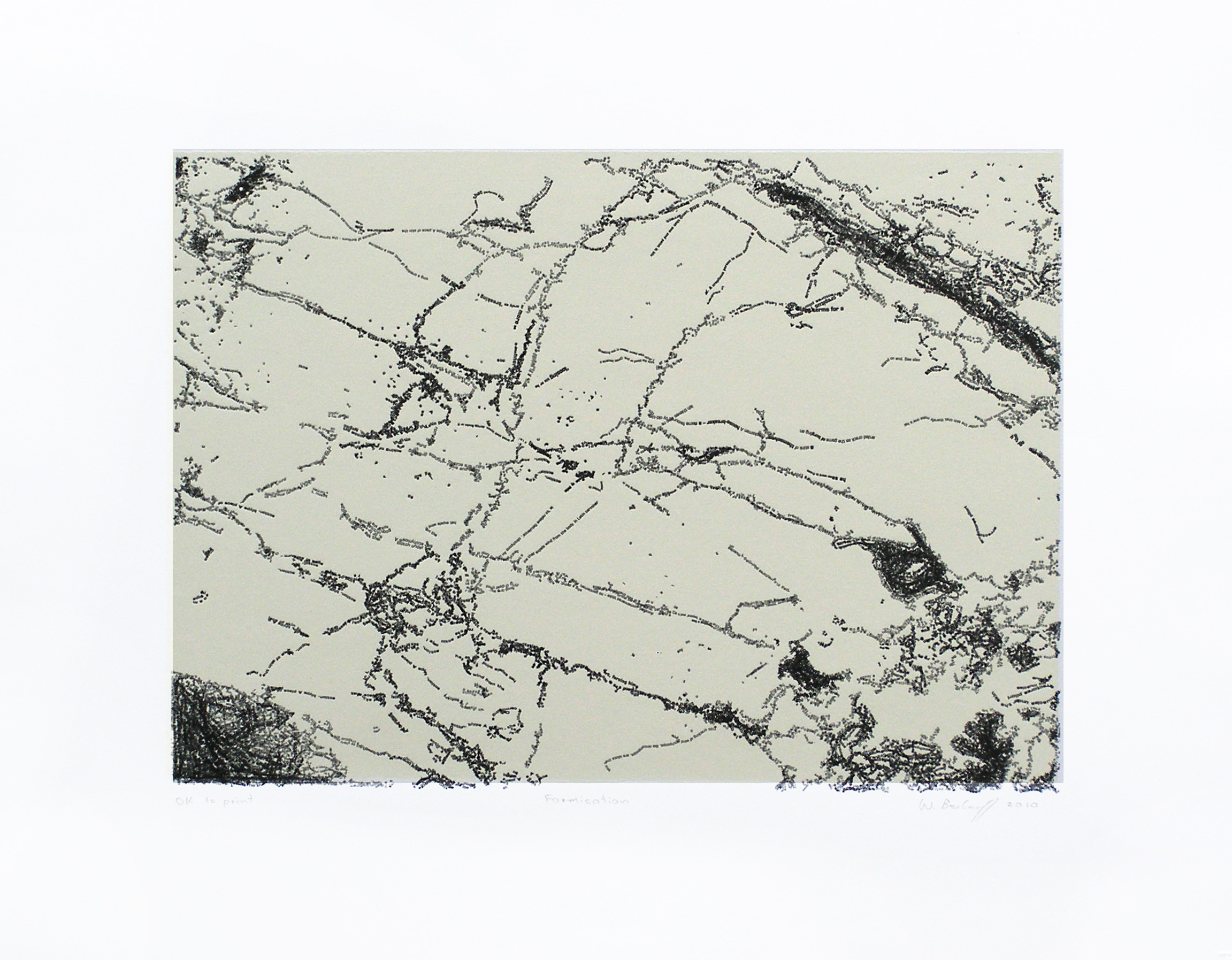 Willem Boshoff Formication e Chine collé letterpress 29. edof35