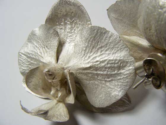 Nic Bladen-phalaenopsis earrings (studs)