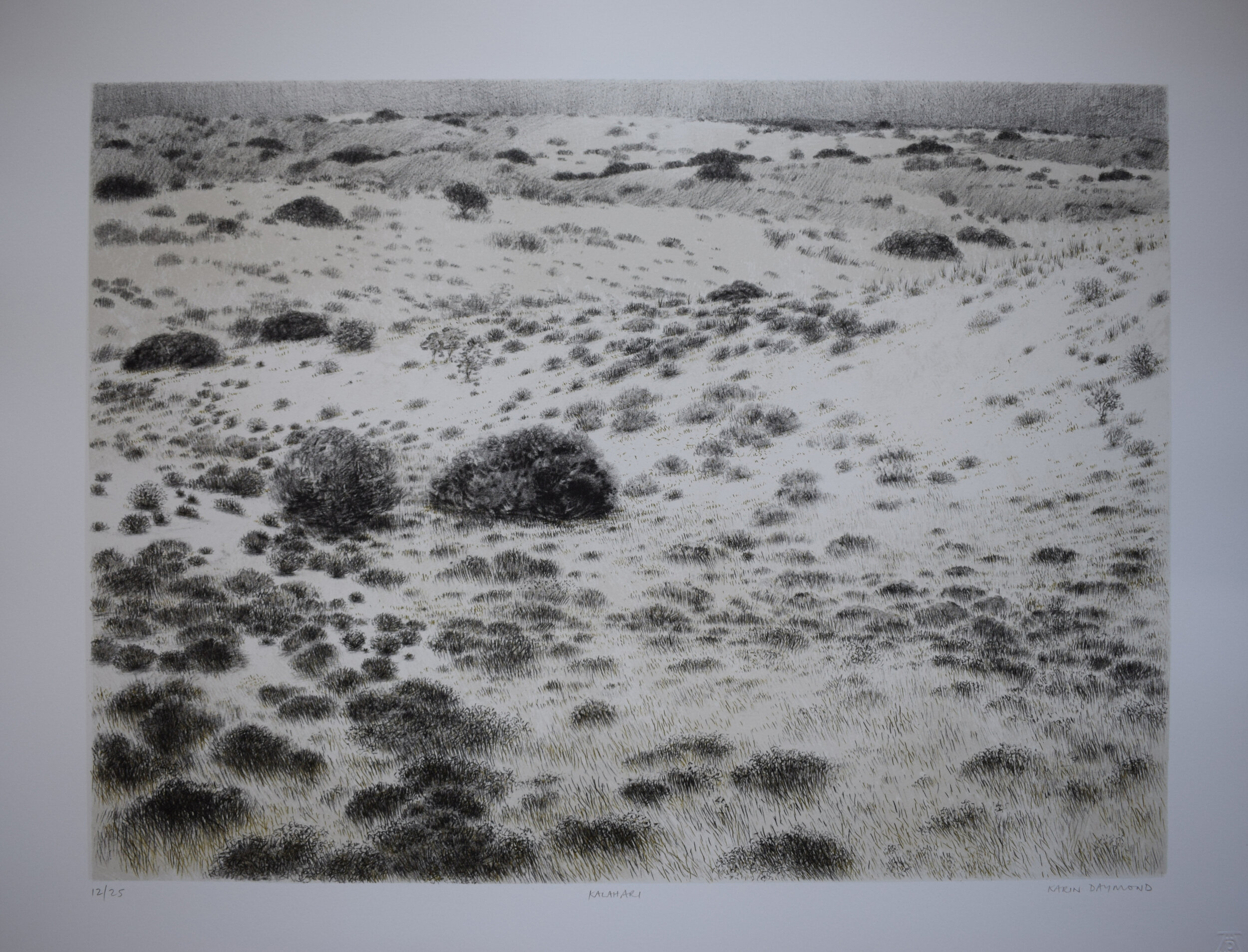 Karin Daymond - Kalahari - 12of25
