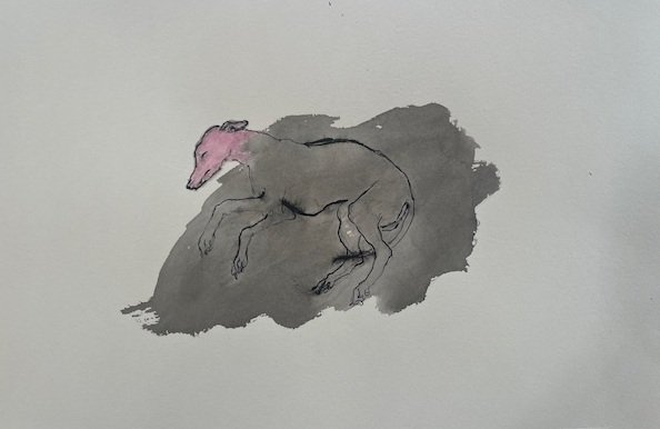 Nicola Bailey, Sleeps Blush, Ink on Fabriano
