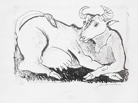 image-asset