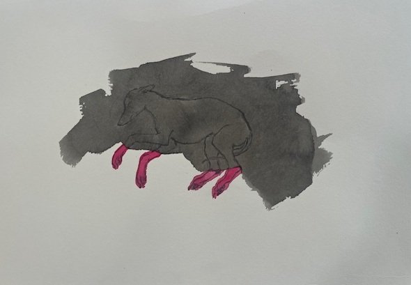 Nicola Bailey, Running Dreams, Ink on Fabriano
